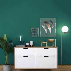 HomyanǎV[hCNV[g60cmS10m̂tDIYǎJbeBOV[gZ