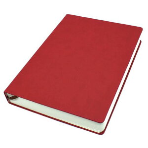 ̃XPb`ubN660y[Wm[g\tgtFCNU[Jo[W[i80gsmh[COXPb`L(A6)