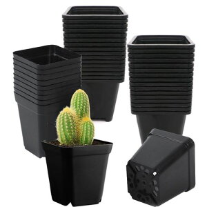 kasanidikac|bgA琬Jbvc|bgy40Zbgzvv^[Aؔrꍪh~瑣iA͔|؍͔|An[uovX`bN|K[fc