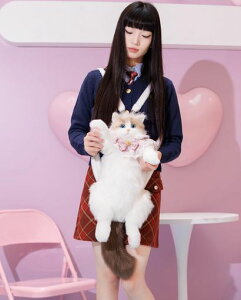 ChongkernhChAȔL^bNL̂ʂ݃ybgDȐlւ̃v[gւ̃v[g(bN)