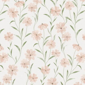 WalwallǎV[10mhCNV[g蓧ȂJbeBOV[ghJr͗lւԕ