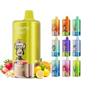 �y100000��z�d�q�^�o�R �g���̂� �x�C�v WASPE remit vape 100000��z�� 1�{��4�̖���ؑւ��\ �։��p�C�| ���� �{�� �����C�^�o�R �V�[�V�� �����^�� 650mAh Type-C�[�d�\ �j�R�`�� �^�[������