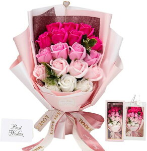 \[vt[ԑ̓v[gav[g\[vt[oOf[Vԑu[PKNԏlCMtghCt[CeALO̓hV̓i]c