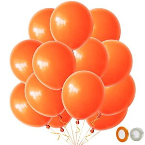 BTZOo[SDt5010C`ەDebNXo[taXܑp[eB[^Ճo[A[gIW