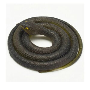 HoshiZorawrU̎ւLLCAтߋQ[AȂւт瓹nEBp[eB[ߋ~