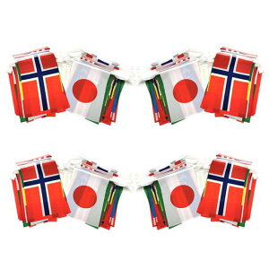 IriwaE100S25m{̊ۗL^ۃtFXeBoی𗬑(4gZbg100m)