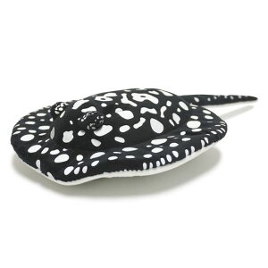 TSTAhoX킭킭}ӒWGC9877S36cm