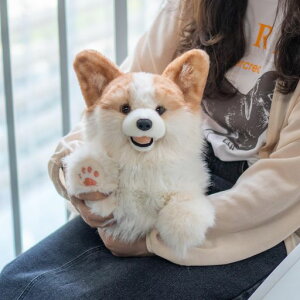 ChongkerR[M[u{蓮tBMAʂʂ݃MtgEFVR[M[̂ʂݔގqFBa蕨jCeA