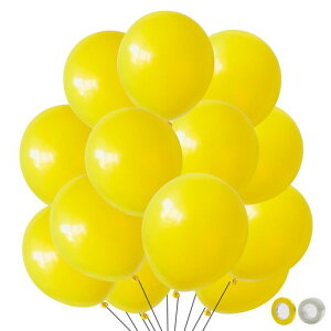 BTZOo[SDt5012C`ەDebNXo[taXܑp[eB[^Ճo[A[gCG[