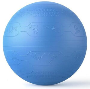 PROIRON�o�����X�{�[��65cm�΂�񂷂ځ[��g���[�j���O�K�C�h�p�^�[���t�������W���{�[���o�����X�{�[���֎q�X�|�[�c�ω׏d300KG�A���`�o�[�X�g��C����t��(�}�����u���[)