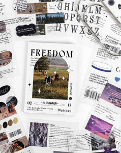 ZolarkarR[WfރV[1蒠V[t[NV[킢PETXebJ[\鎆fDIYXPW[J_[m[gfRV[p[v20Zbg(RƊC)