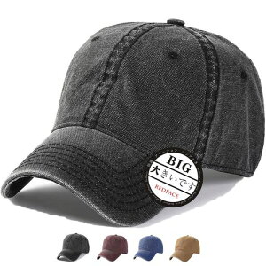 RFLbvY傫TCY[ߖXq(100%Rbg)V(60-65cm)lCڂjp(ubN)