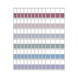 WIICOYKフィルム付箋レトロインデックス見出し透明スリム書ける強粘着キレイに剥がせマルチカラー6色10パッド入りサイズL-60/M-120/S-240枚事務用品(レトロ-S)