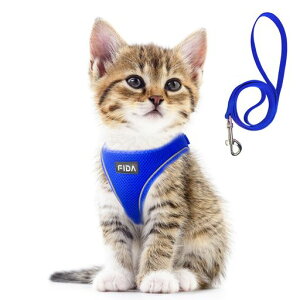 FIDALLpn[lX[hZbgLL[v[hxXg\tgČyʃTCY߉锽˒ʋCbVoȂxXg˂lRqLq^(XXXSu[)forKittenandPuppy