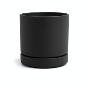 GreenshipAؔ󂯎Mt5(15.8CM)}bgȃIVGRfޔDF(ubN5)