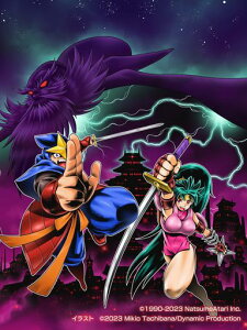 ł̎dlKAGEShadowofTheNinja-Switch