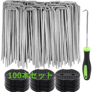 UsYەthV[gŒplHłs(200{Zbg20x3x20)