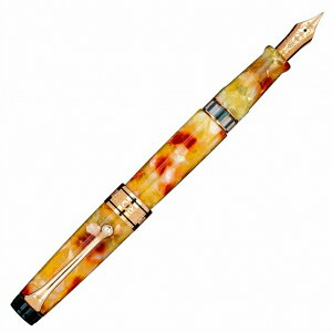 AURORA AE i JChXR[sIE[`FW[ 996-PKG 860{ NM