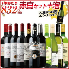 金賞 ワインセット 12本 【 赤白セット+スパークリング 】 ボルドー金賞・金賞スパークリングなど 赤ワイン 白ワイン スパークリングワイン のフルセット フルボディ ミディアムボディ 辛口 x-er-RWS-u12