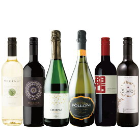 イタリア＆スペイン、チリ 赤白泡 6本セット イタリア人で唯一、パーカーポイント100点を2回獲得した醸造家ステファノ・キオッチョリ氏が監修するスプマンテ入り 金賞赤ワイン＆“匠”生産者たち ：x-er-p84-u6