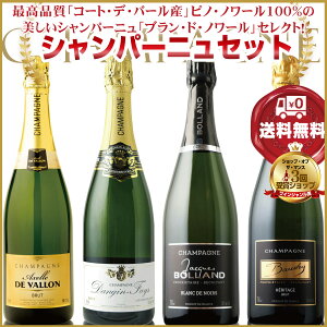 y ppB̉hA_̎fڃVp[j|[E_WEGEtBXzXɍōiuR[gEfEo[YvsmEm[100%̔uEhEm[ V