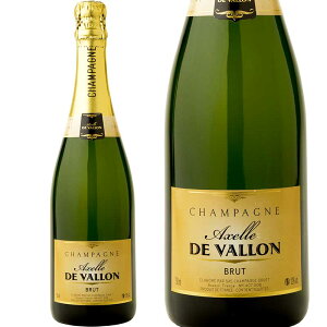 A.S.IEŗDG\GRN[̏҃pIEob\^Vp[j yANZEhEoz MhEAVFbgɂ10NA̖fڂĂ͔h̃]