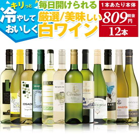感謝還元 白ワイン 辛口 飲み比べ 12本 セット | 送料無料 【1本あたり本体833円（税抜）】世界の白ワインセット 厳選そしてお手頃 白ワイン 12本セット 辛口 フルーティな味わいに酸味のバランスが良い！食事に合わせて世界の銘醸地飲み比べ 白 ワインセット お歳暮 お祝い