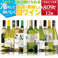 感謝還元 白ワイン 辛口 飲み比べ 12本 セット | 送料無料 【1本あたり本体833円（税抜）】世界の白ワイ…