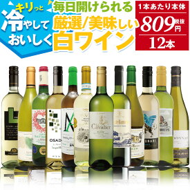 感謝還元 白ワイン 辛口 飲み比べ 12本 セット | 送料無料 【1本あたり本体833円（税抜）】世界の白ワインセット 厳選そしてお手頃 白ワイン 12本セット 辛口 フルーティな味わいに酸味のバランスが良い！食事に合わせて世界の銘醸地飲み比べ 白 ワインセット お歳暮 お祝い