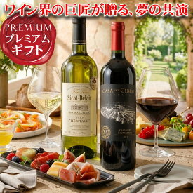 ワイン ギフト ＜売れ筋＞迷ったらコレ！ワイン界の巨匠赤ワイン白ワインセット！オーパスワンを創ったパスカルマーティ氏作品 複雑味のある旨赤ワイン あのシャトーオーブリオンの元醸造家が造る白ワイン ボルドーブレンド！ 金賞 受賞品 フルボディ 辛口 父の日