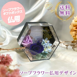 \[vt[ pfUC o Mtg{bNX 蕨 v[g  yY TCYF12.5cm×c10.5cm×s6.5cm