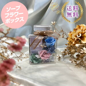 hV̓ \[vt[ fUC Mtg o Mtg{bNX 蕨 v[g  yY p@TCYFc14cm×10.5cm×s6.5cm