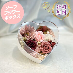 \[vt[ n[gfUC Mtg o Mtg{bNX 蕨 v[g  yY p@TCYFc11.5cm×10.5cm×s6.5cm