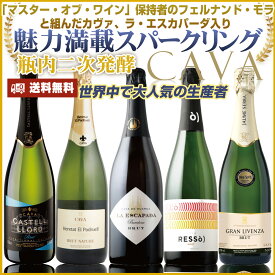 ワイン 金賞 スパークリングワイン セット | 送料無料 ＊魅力満載！人気のスパークリングのみ詰め合わせ！シャンパンと同じ伝統的製法で造られるカヴァ。シャンパン、プロセッコに次ぐ販売本数を誇る、世界3大スパークリングワインの1つ 爽快な辛口タイプ ：x-cava-u5