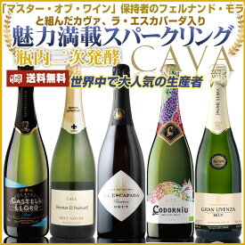 魅力満載！人気のスパークリングのみ詰め合わせ！シャンパンと同じ伝統的製法で造られるカヴァ。シャンパン、プロセッコに次ぐ販売本数を誇る、世界3大スパークリングワインの1つ 爽快な辛口タイプ 高品質で美味しく！：x-cava-u5c