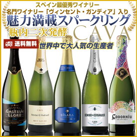 ワイン 金賞 スパークリングワイン セット | 送料無料 人気のスパークリングのみ詰め合わせ!シャンパンと同じ伝統的製法で造られるカヴァ。スペイン最優秀ワイナリー名門ワイナリー入り、世界3大スパークリング爽快辛口:cava-u5