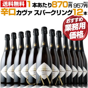 Ɩpi1{{870~iŔj yEGXJp[_@J@ Xp[NOz CƊEœ֎iu}X^[EIuECvێ҂̃tFihEJ@̓`IY