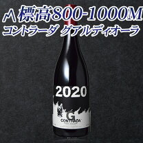楽天市場】フランケッティ パッソピッシャーロの通販