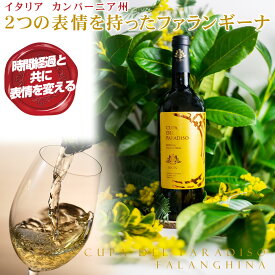 イタリア 白ワイン トロピカルフルーツとハーブの香りのニュアンス 時間の経過とともに鮮やかなグレープフルーツの表情を見せる。2つの表情を持つファランギーナ 【ナティヴ クーパ デル パラディーゾ ファランギーナ 2022】