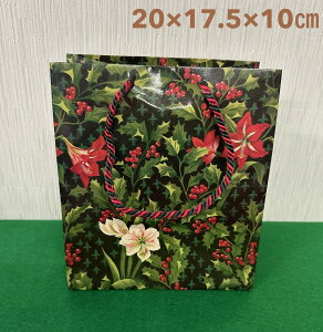 Caspari JXp y[p[obO  obO MtgobO v[g yY bsOpi   ~jobO  A}X K[f Amaryllis Garden 20x17.5x10cm
