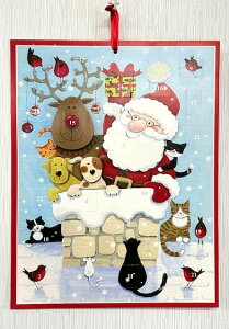 Caspari JXp AhxgJ_[ NX}X NX}XCu J_[ JEg_E Mtg [bp k  Cxg CeA v[g qɌ@o Ǌ| gs