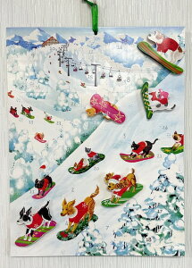 Caspari JXp AhxgJ_[ NX}X NX}XCu J_[ JEg_E Mtg [bp k  Cxg CeA v[g Ǌ| gsv  Xm