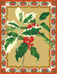 Caspari JXp ANX}XJ[h O[eBOJ[h ܂ `  k AJ  i V[YO[eBO XCXvg NX}Xz[[ Holly Sprig RHS 