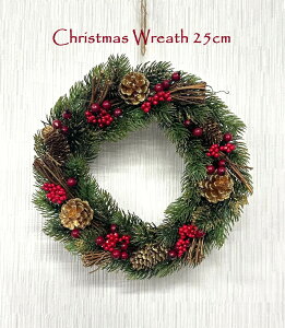 yNX}X[Xz25cm [X   k i    CeA  Mtg v[g Rf pCR[x[