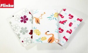 tL zNX 3e2Zbg G Flinka hCc tJ }`p[pXNX z ӂ NX yԕELclEt~SpCibv e2̃Zbgz