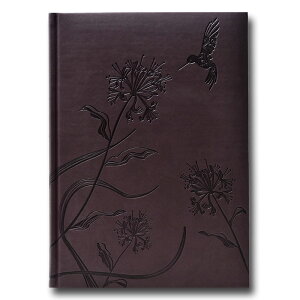 yB5@A@m[gzC^A B5G{X m[gubN Letterpress Hyac@Pierre BelvedereisG[ xxf[jyA@Xe[Vi[z