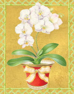 Caspari JXp ANX}XJ[h O[eBOJ[h ܂ `  k AJ  i V[YO[eBO XCXvg  I[Lbh Ӓ 