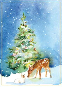 Caspari JXp ANX}XJ[h O[eBOJ[h ܂ `  k AJ  i V[YO[eBO XCXvg c[   Christmas Fauna