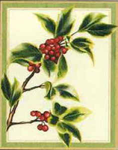 Caspari JXp ANX}XJ[h O[eBOJ[h ܂ `  k AJ  i V[YO[eBO  XCXvg V̎