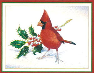 JXp ANX}XJ[h  k Dɂ AJ fG  i V[YO[eBO XCXvg